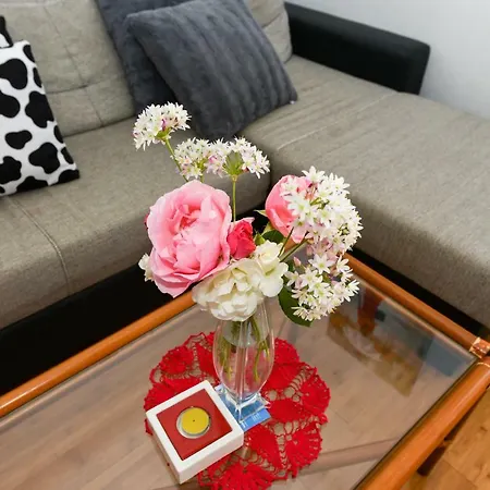 Mandic With Parking Apartman